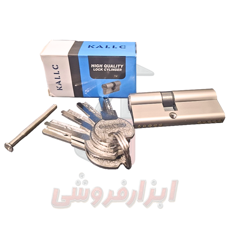 مغزی در