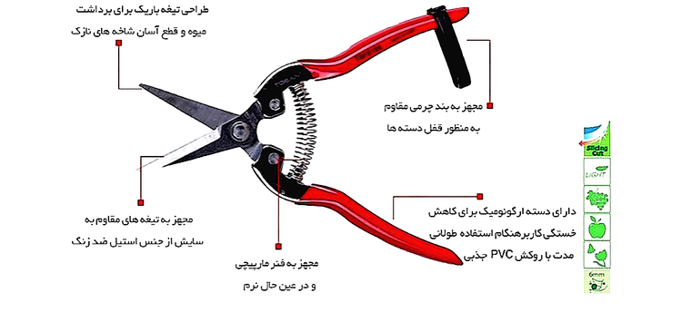 قیچی میوه چین 7 اینچ سرکج توسن